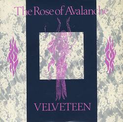 The Rose Of Avalanche : Velveteen